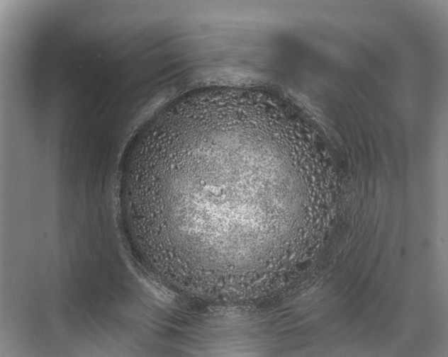 X0000071770679200607071302