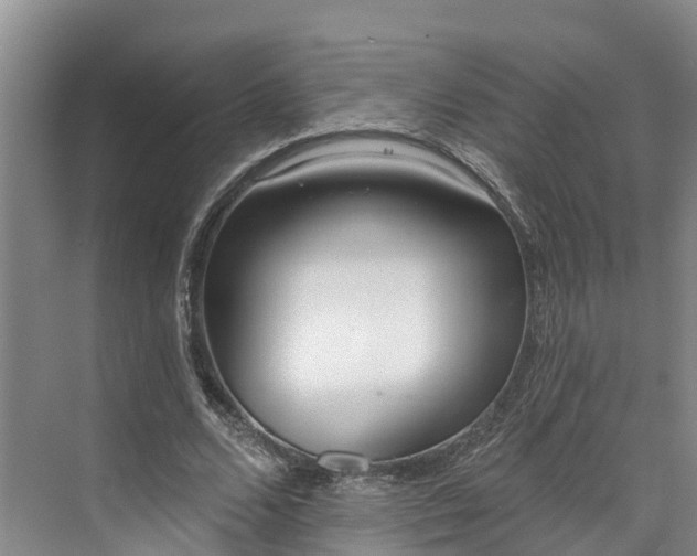 X0000071770680200607071302