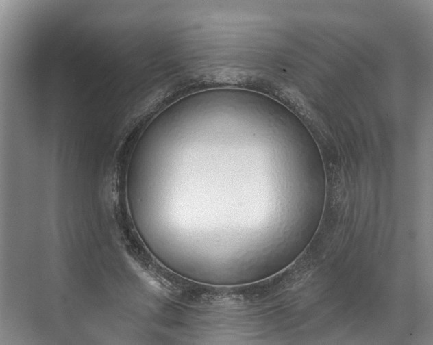 X0000071770683200607071302