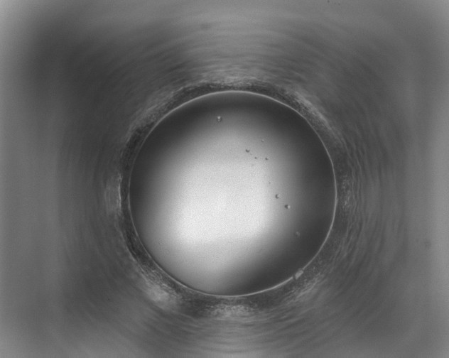 X0000071770685200607071302