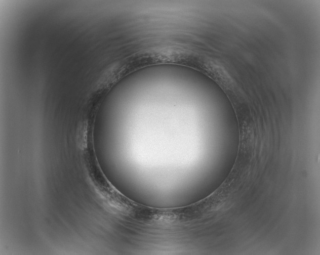 X0000071770694200607071302