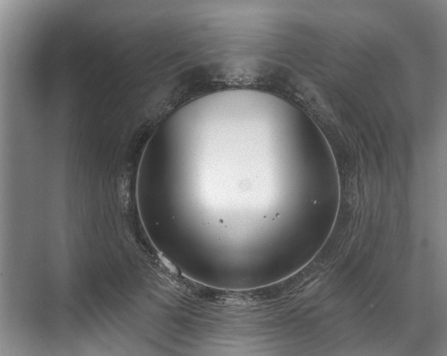 X0000071770697200607071302