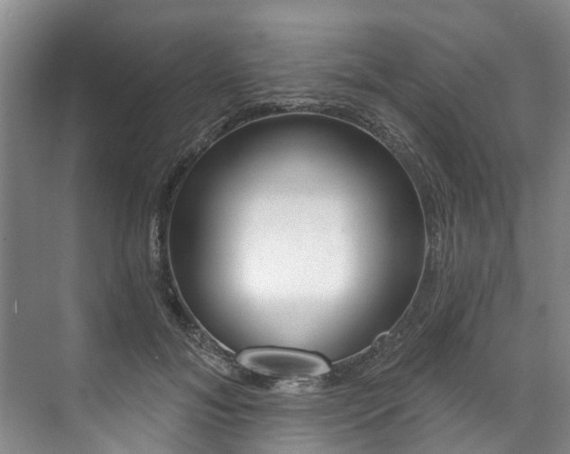 X0000071770700200607071302