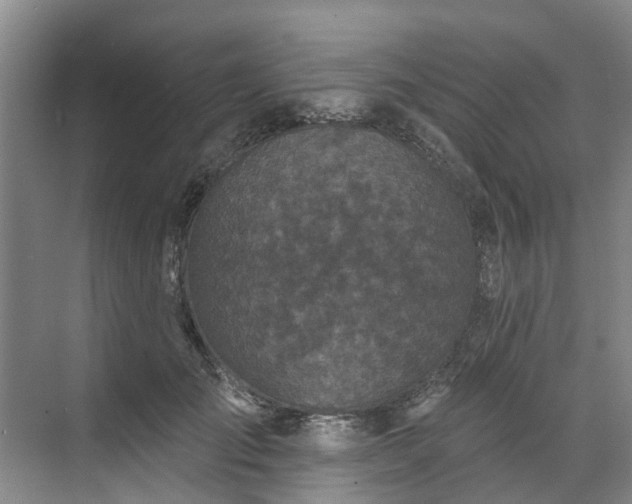 X0000071770701200607071302