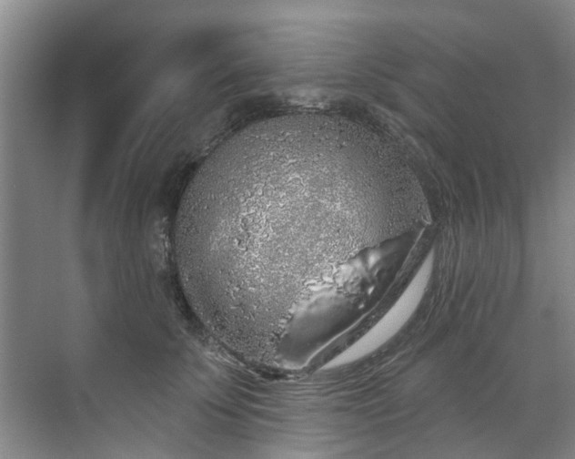 X0000071770707200607071302