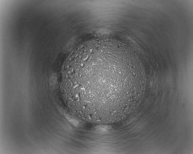 X0000071770711200607071302