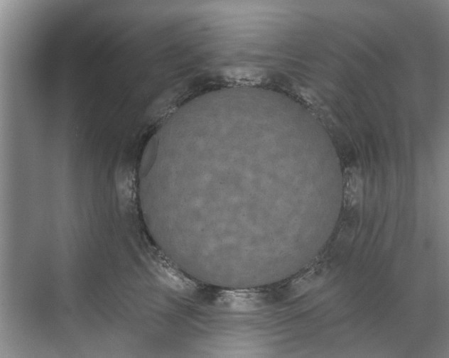 X0000071770713200607071302