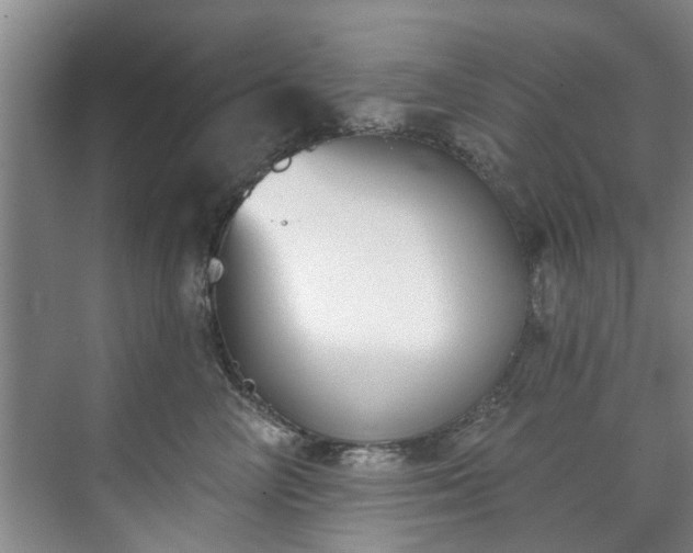 X0000071770714200607071302