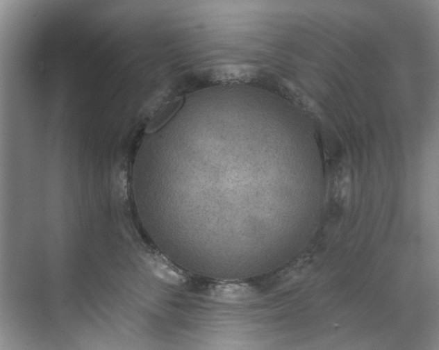 X0000071770716200607071301