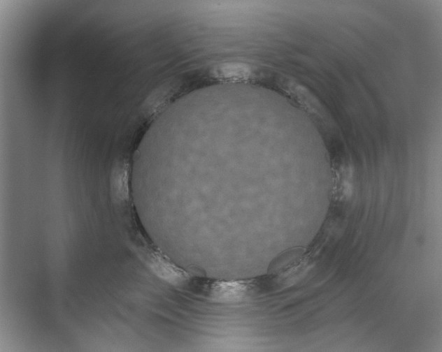 X0000071770717200607071301