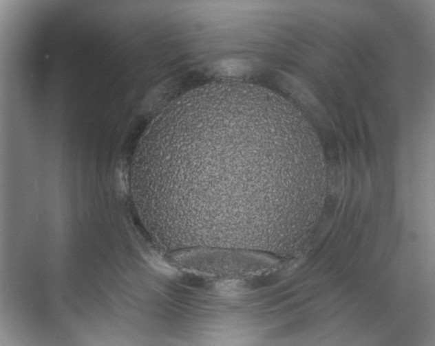 X0000071770718200607071301