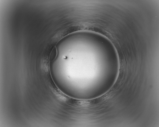 X0000071770719200607071301