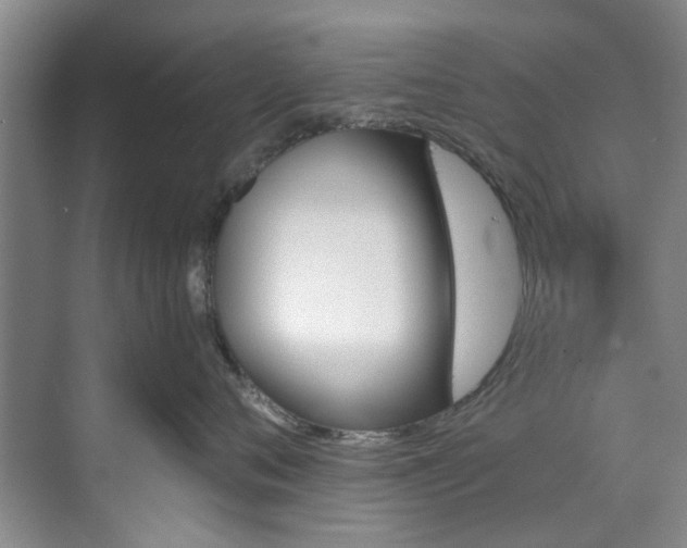 X0000071770720200607071301