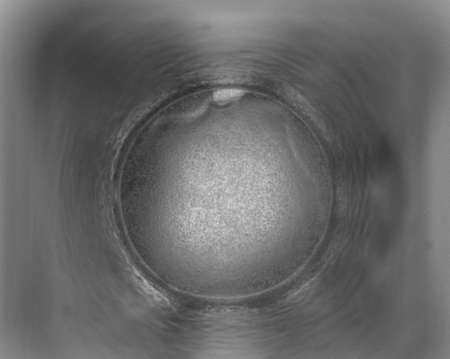 X0000071770721200607071301