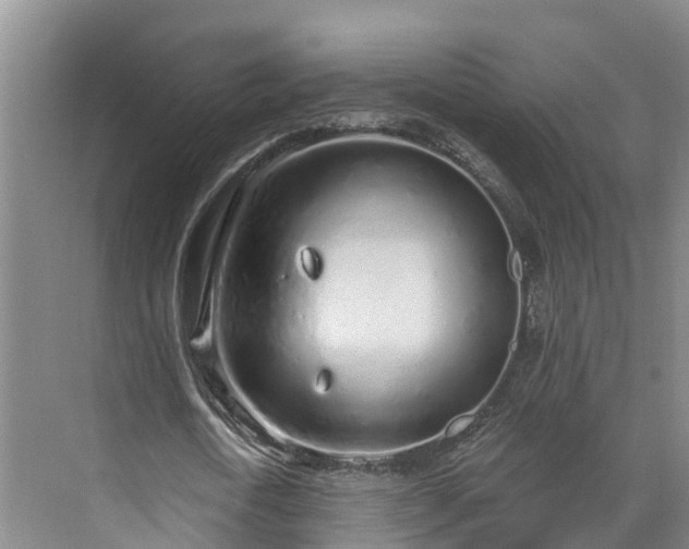 X0000071770722200607071301