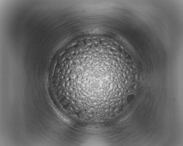 X0000071770725200607071301