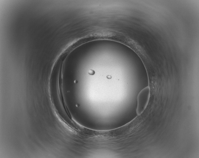 X0000071770726200607071301