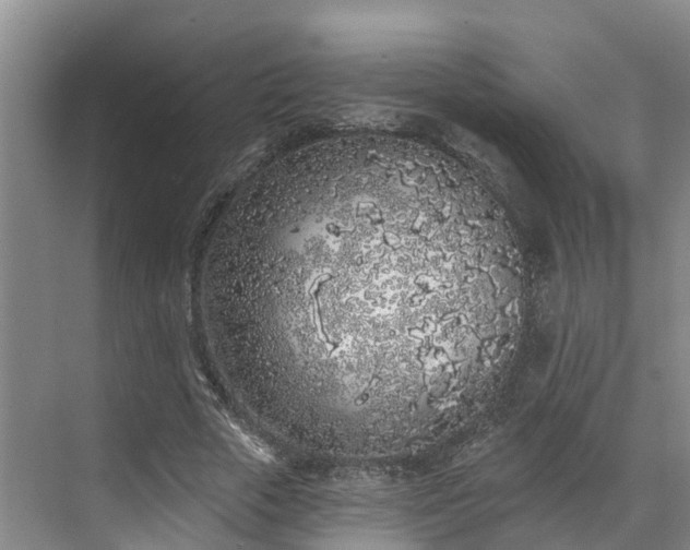 X0000071770729200607071301