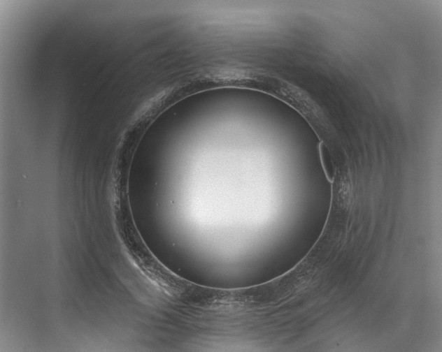 X0000071770732200607071301