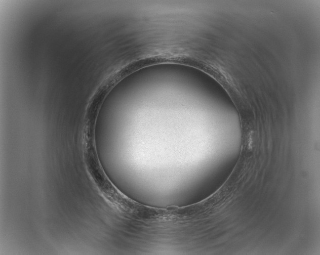 X0000071770736200607071301