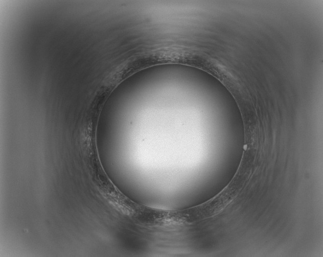 X0000071770737200607071301