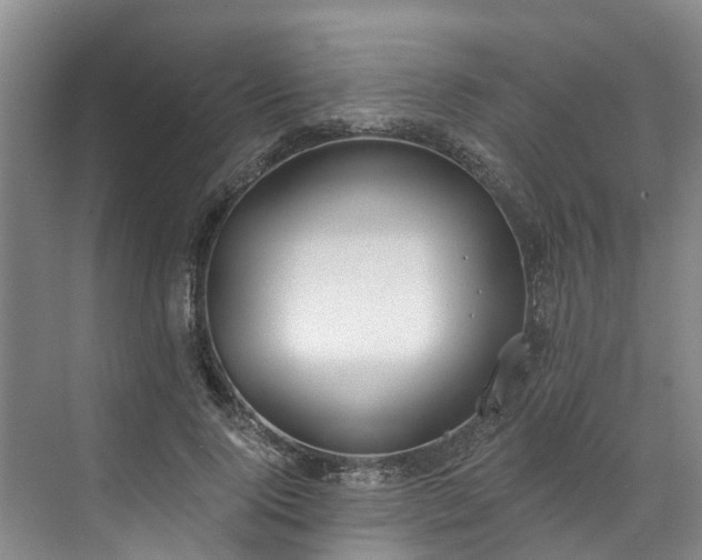 X0000071770740200607071301