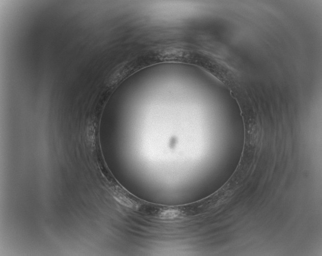 X0000071770753200607071301