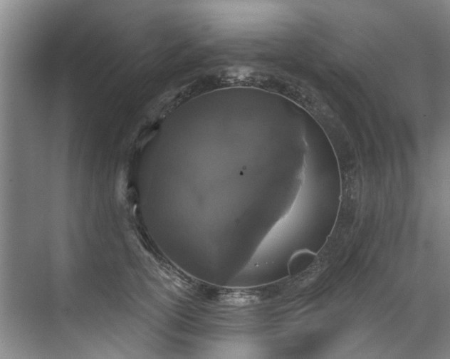 X0000071770754200607071301