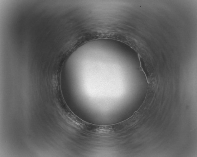 X0000071770756200607071301