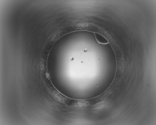 X0000071770758200607071301