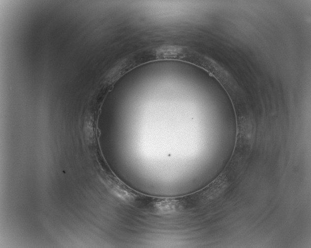 X0000071770761200607071301