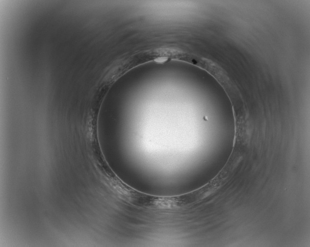 X0000071770762200607071301