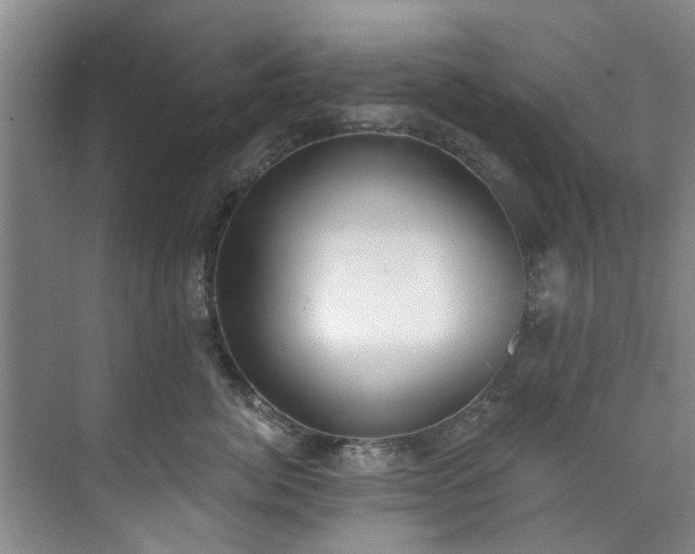 X0000071770764200607071301