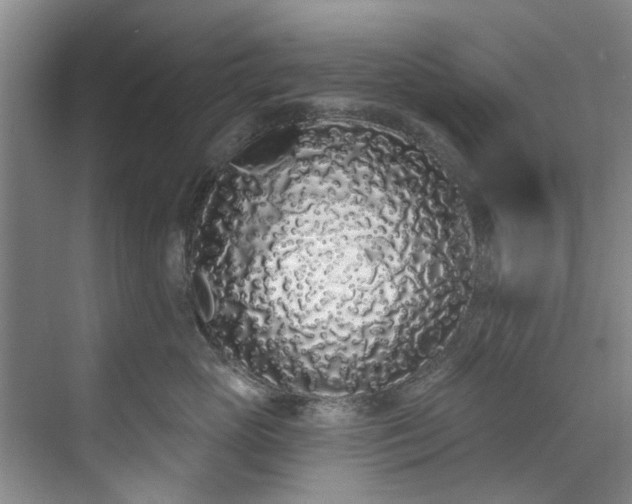 X0000071770765200607071301