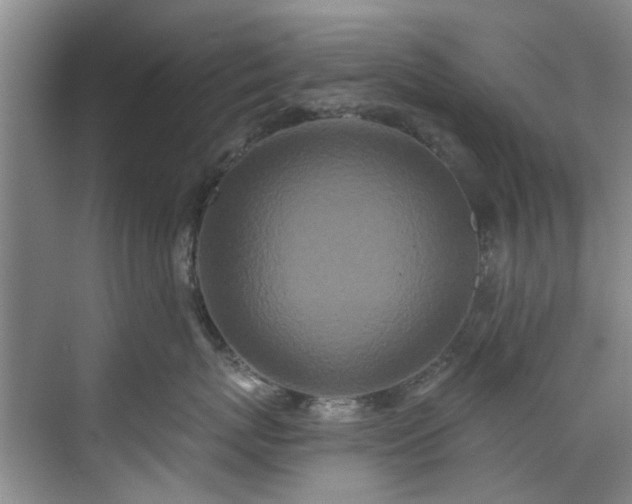 X0000071770767200607071301