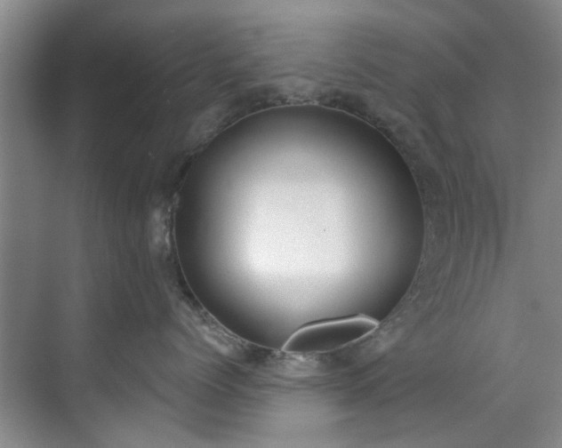 X0000071770768200607071301