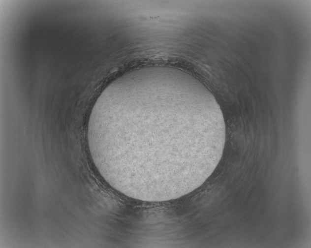 X0000071770769200607071301