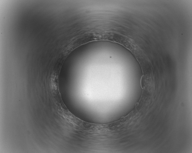 X0000071770770200607071301