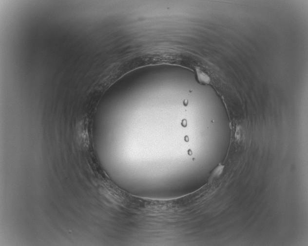 X0000071770771200607071301