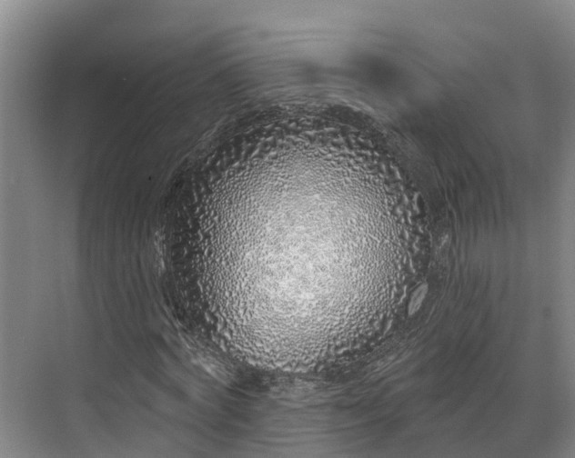 X0000071770772200607071301