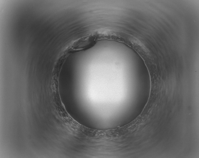 X0000071770776200607071300