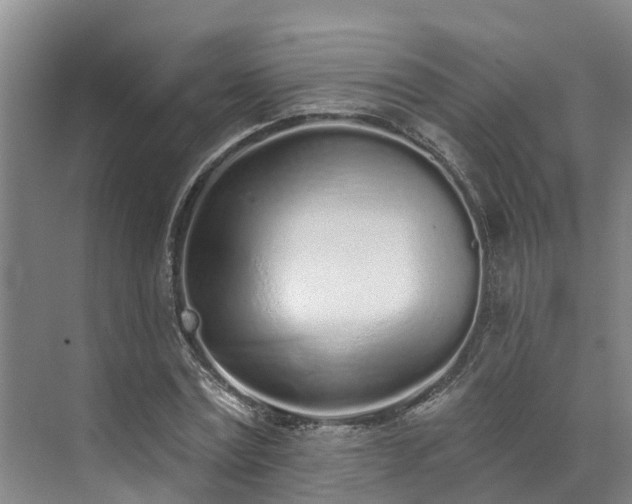 X0000071770779200607071300