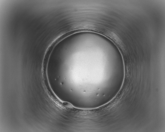 X0000071770780200607071300