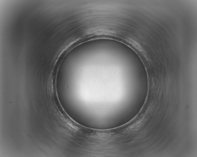 X0000071770782200607071300