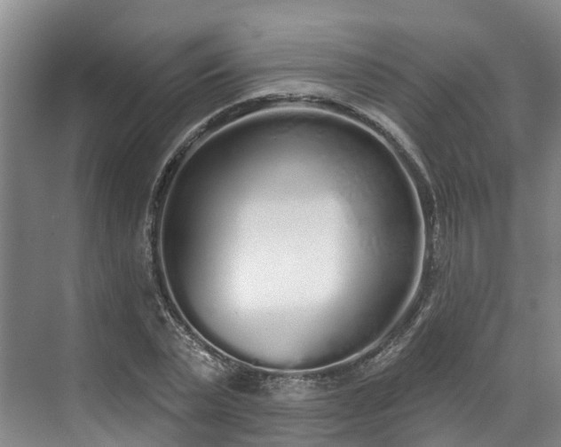 X0000071770783200607071300