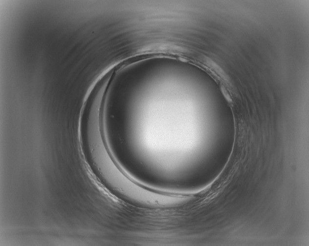 X0000071770788200607071300