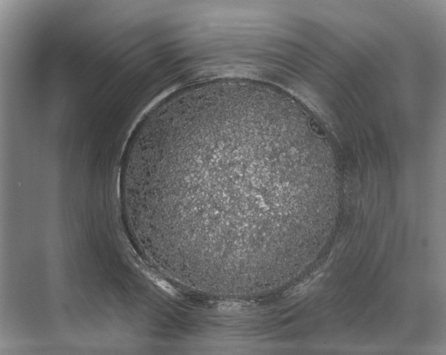 X0000071770790200607071300