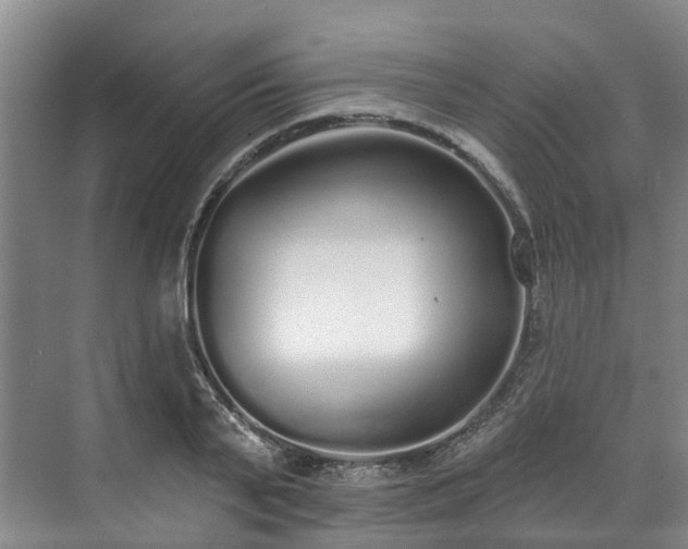 X0000071770791200607071300