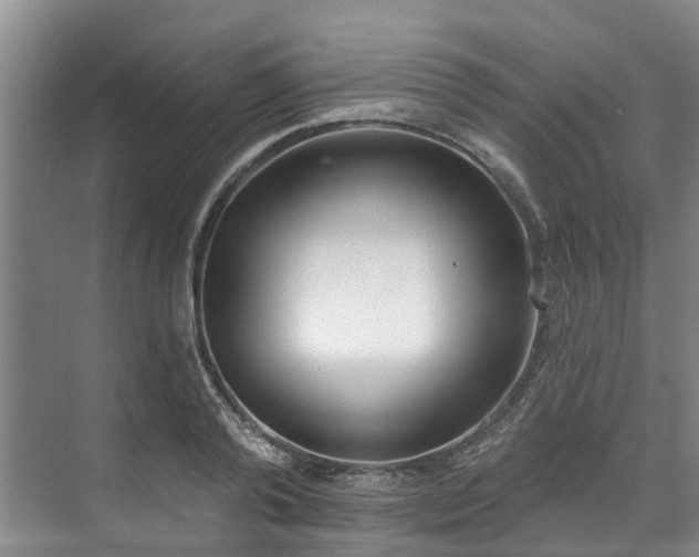 X0000071770792200607071300