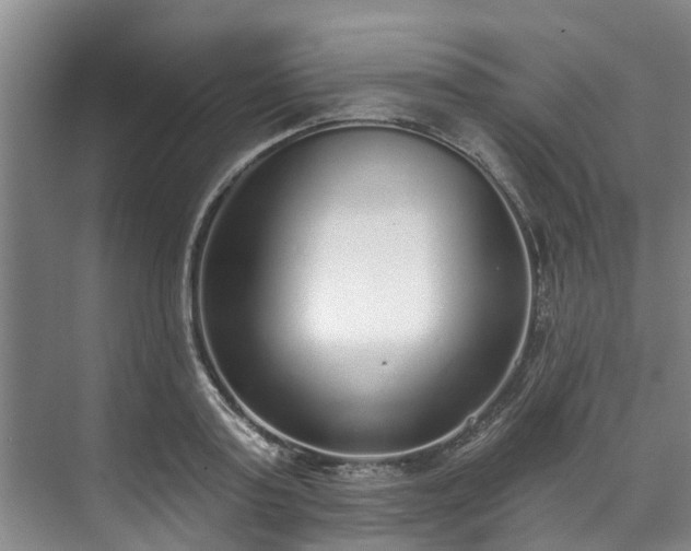 X0000071770795200607071300